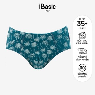 Combo 3 Quần lót bé trai iBasic phom brief tam giác cotton USA kháng khuẩn PANB028