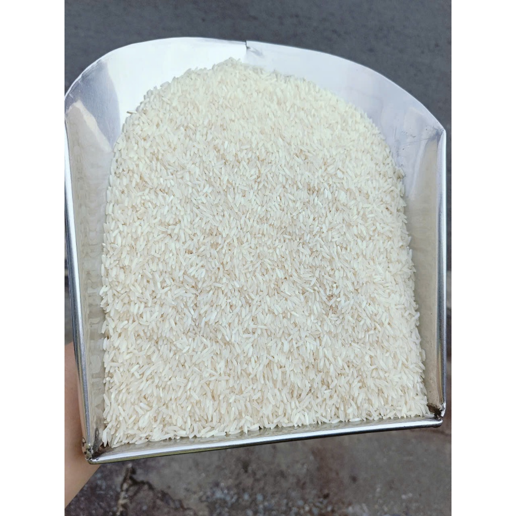 10kg Gạo OM5451 - lúa đồng biển Kiên Giang - dẻo, mềm - giá hợp lí