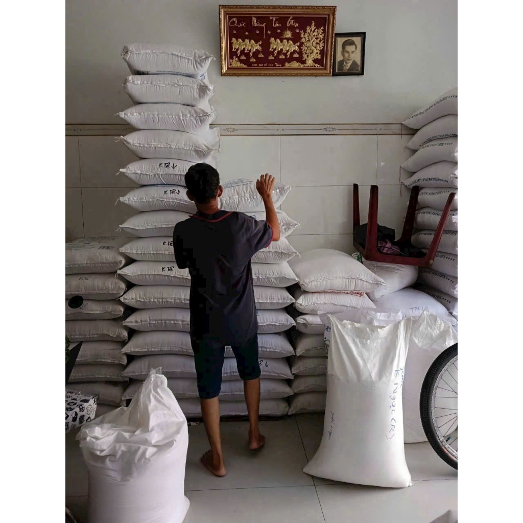 10kg Gạo OM5451 - lúa đồng biển Kiên Giang - dẻo, mềm - giá hợp lí