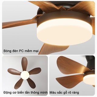 Quạt trần cổ ngắn GOGEOUS Quạt trần lắp phòng khách nhỏ,phòng ngủ động cơ DC inverter kèm khiển