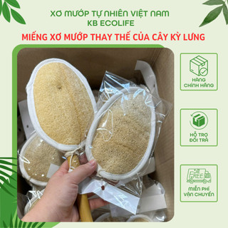 Miếng Xơ Mướp Thay Thế Cây Kỳ Lưng Bằng Xơ Mướp KB Ecolife Tiện Dụng Tiết Kiệm