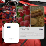 Máy Tạo Hương Thơm Nhà diện tích phổ thông -  Dùng Cho Căn Hộ, Nhà Hàng , nhà riêng diên tích 100m2 trở về — ảnh 3
