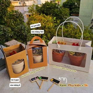 Set sen đá trồng sẵn chậu 9cm mix nhiều loại đa dạng màu sắc thích hợp làm quà tặng MẦM NẮNG GARDEN  lỗi 1 đền 1