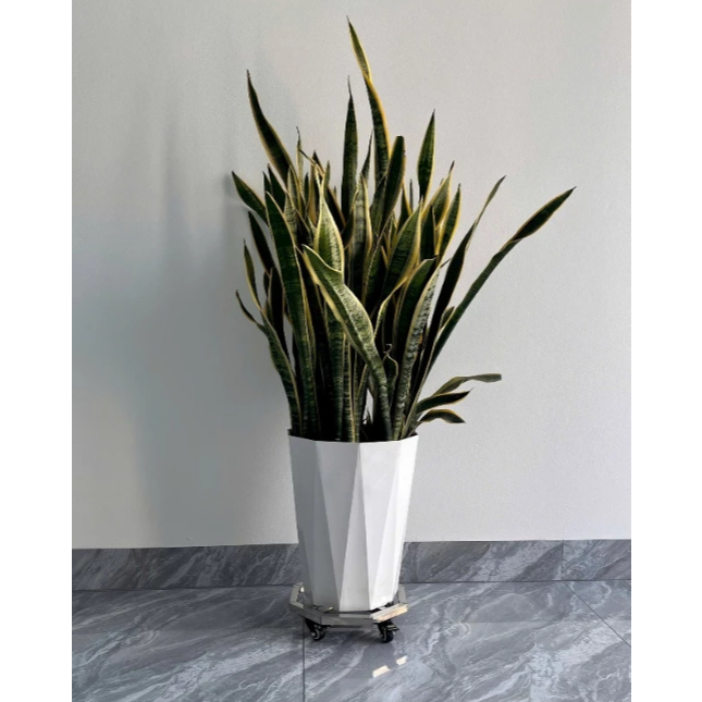 Chân đế di chuyển chậu cây có bánh xe siêu chịu tải kệ lót chậu cây, đế bát giác inox  không gỉ chịu tải trọng 120kg
