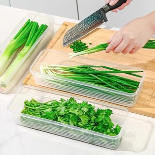Hộp nhựa H25 (KT: 25x7.5x5cm) đựng hành lá, rau mùi, hành tây, mì ý.... Loại dài có nắp đậy tiện lợi - Trữ đồ tủ lạnh