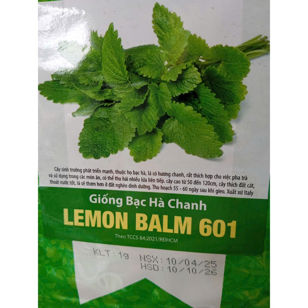 HẠT GIỐNG BẠC HÀ CHANH LEMON BALM 601 - CHÍNH HÃNG RẠNG ĐÔNG ( DATE MỚI NHẤT)
