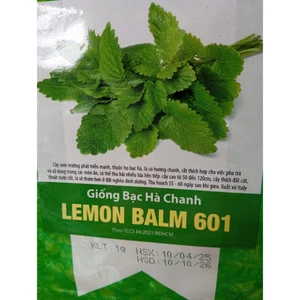 HẠT GIỐNG BẠC HÀ CHANH LEMON BALM 601 - CHÍNH HÃNG RẠNG ĐÔNG ( DATE MỚI NHẤT)