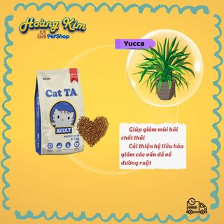Hạt mèo Cat TA (4,5kg) Thức ăn mèo trưởng thành thịt gà tây, vịt, cá/ Công nghệ Hàn Quốc ( Kèm quà )