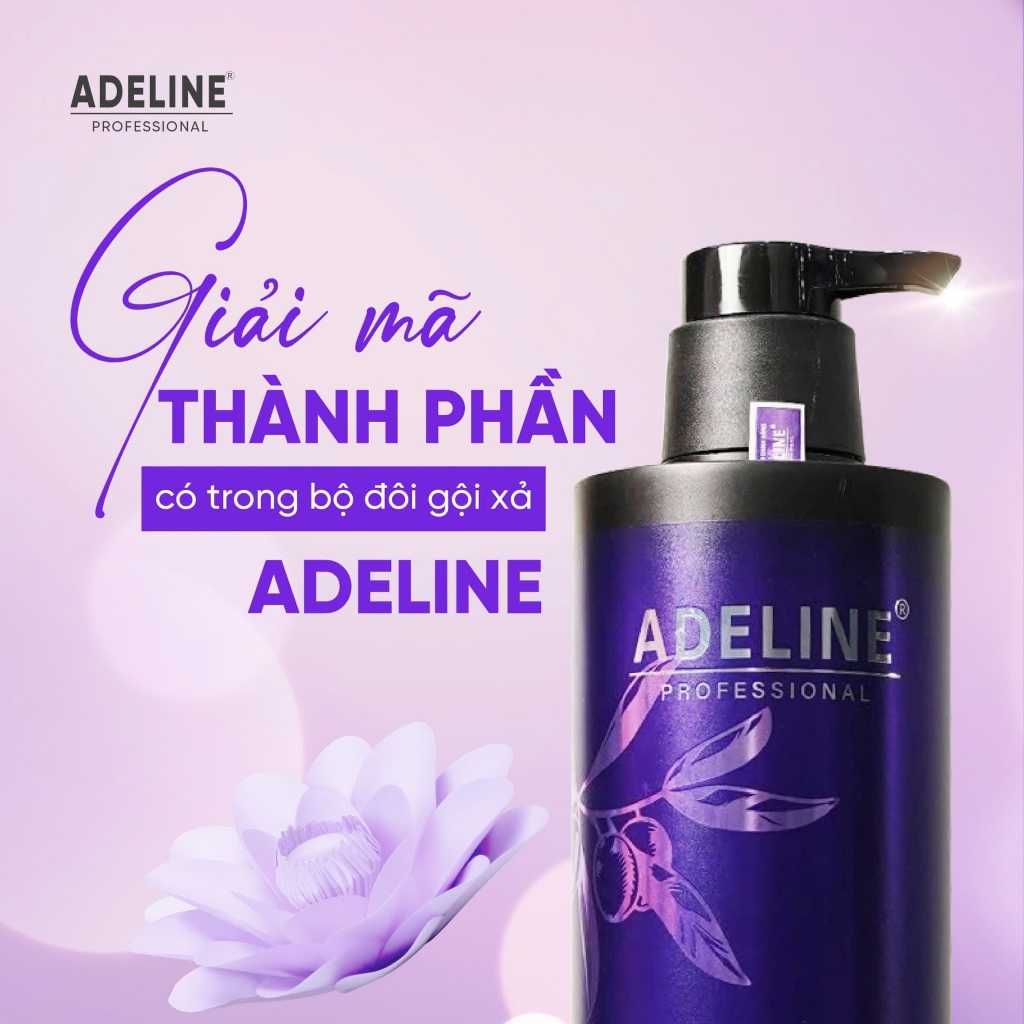 Cặp Gội Xả Adeline 750ml | Dưỡng Tóc Mềm Mượt Cho Tóc Nhuộm & Khô Xơ
