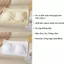 COMBO 4 Áo bra nữ cotton dày dặn co giãn 4 chiều êm ái mút lót mỏng có thể tháo rời LANIXA B7735