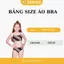 COMBO 4 Áo bra nữ cotton dày dặn co giãn 4 chiều êm ái mút lót mỏng có thể tháo rời LANIXA B7735