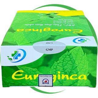 Euroginca Xanh - Hà Nội - Vinaphar - Vitamin Phục Hồi