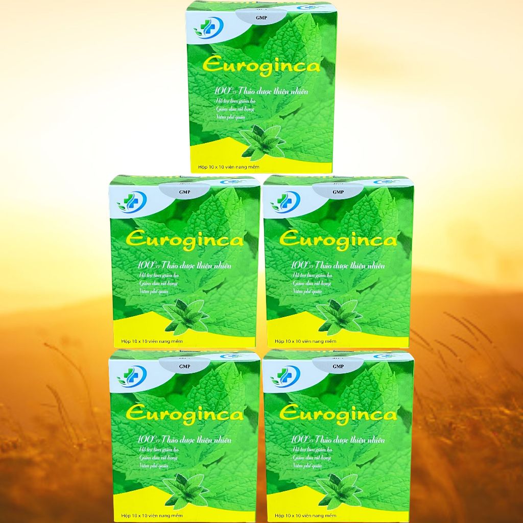Combo 5 Hộp Euroginca Xanh - Hà Nội - Vinaphar - Vitamin Thanh Lọc