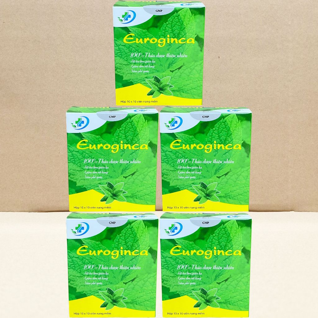 Combo 5 Hộp Euroginca Xanh - Hà Nội - Vinaphar - Vitamin Chữa Lành