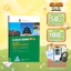Sách - Giáo Trình Hán Ngữ Boya Sơ Cấp 1, Sách Bài Tập Kèm Đáp Án - MCBooks