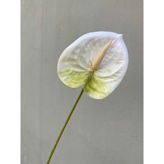 Hoa giả - Cành hoa hồng môn Hàng loại 1 nhiều màu sắc Decor trang trí nhà cửa,cắm lọ để bàn,phòng khách...