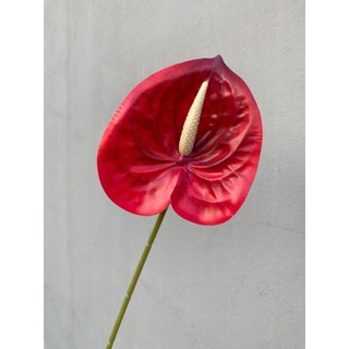 Hoa giả - Cành hoa hồng môn Hàng loại 1 nhiều màu sắc Decor trang trí nhà cửa,cắm lọ để bàn,phòng khách...