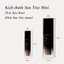 Son tint bóng thuần chay Dinto Blur-Glowy MINI 1gam
