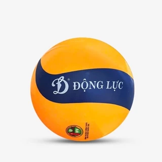Bóng chuyền hơi hoa xoáy DL250