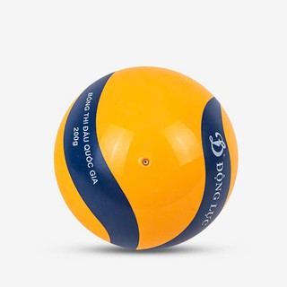 Bóng Chuyền Hơi Hoa Xoáy PVC Mềm DL200