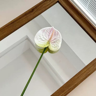 cành hoa Hồng môn nhân tạo 62cm bông 12cm