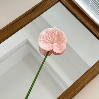 cành hoa Hồng môn nhân tạo 62cm bông 12cm