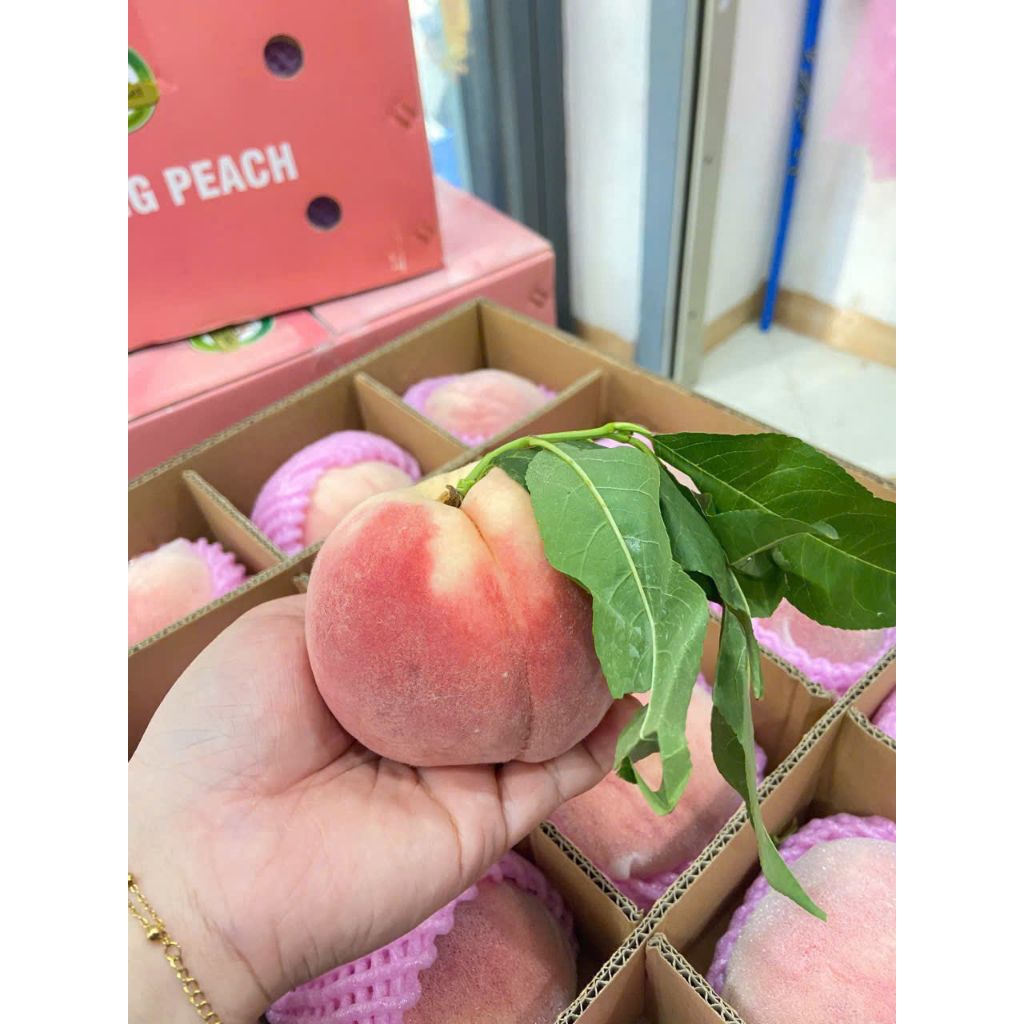 [ JENNY FRUIT ][ HỎA TỐC ] Đào tiên đẹp , trưng cúng rất sang