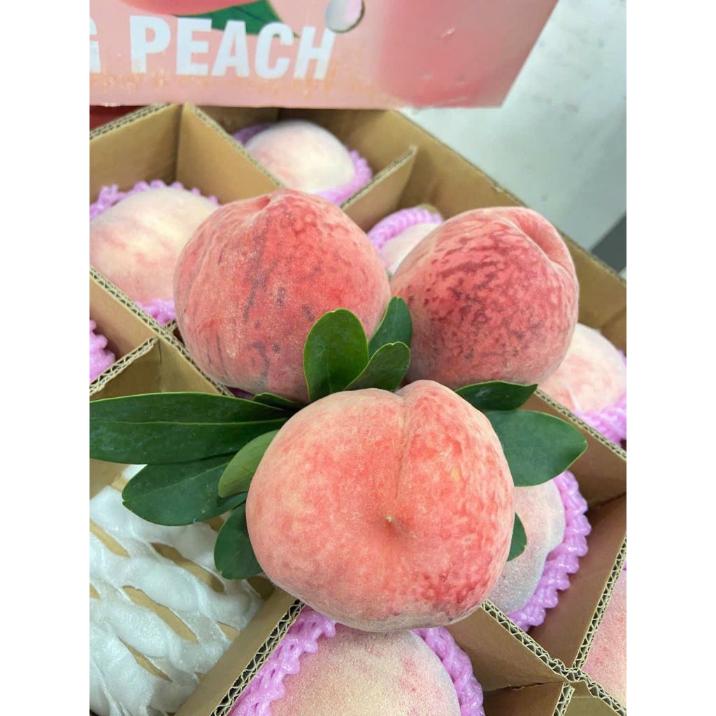 [ JENNY FRUIT ][ HỎA TỐC ] Đào tiên đẹp , trưng cúng rất sang