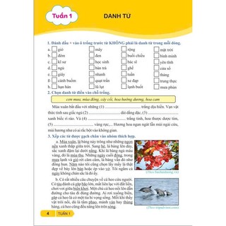 Sách - Vở Bài Tập Nâng Cao Từ Và Câu Lớp 4 ( Theo Chương Trình GDPT mới ) - Kết Nối - Ndbooks