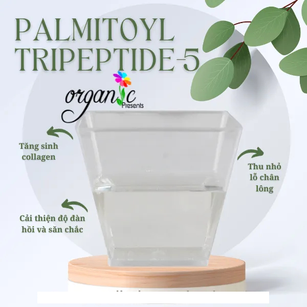 PALMITOYL TRIPEPTIDE 5 - HOẠT CHẤT CHỐNG LÃO HOÁ , CHỐNG NẾP NHĂN