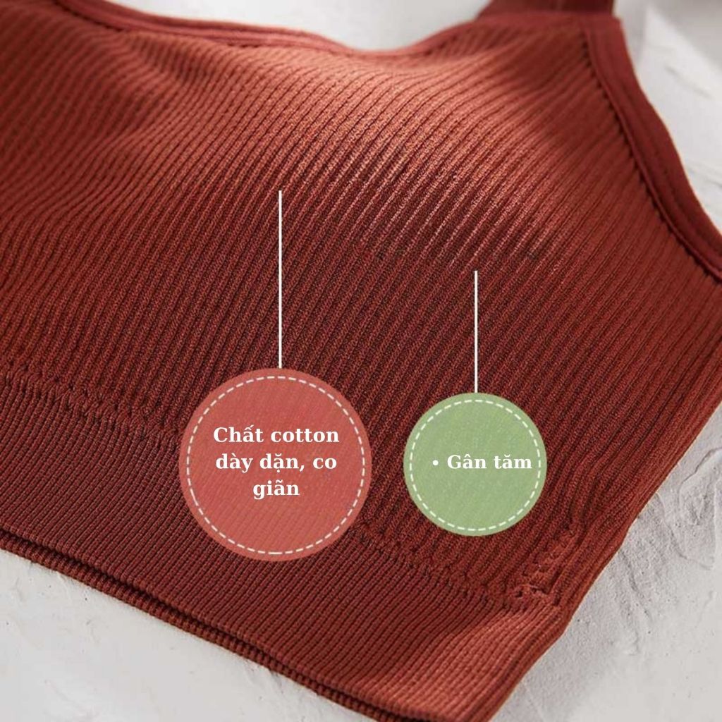COMBO 3 Áo bra cotton gân tăm mút sẵn mỏng nhẹ có thể tháo rời dây điều chỉnh tiện lợi LANIXA B1182