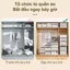 STON Hộp Ngăn Kéo Đựng đa đặc trưng Hộp Đựng Quần Áo Bằng Nhựa Có Thể Xếp Chồng Hộp lưu trữ