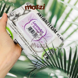 Khăn ướt cho chó mèo Kháng khuẩn trắng  Absorb Antibacterial Absolute