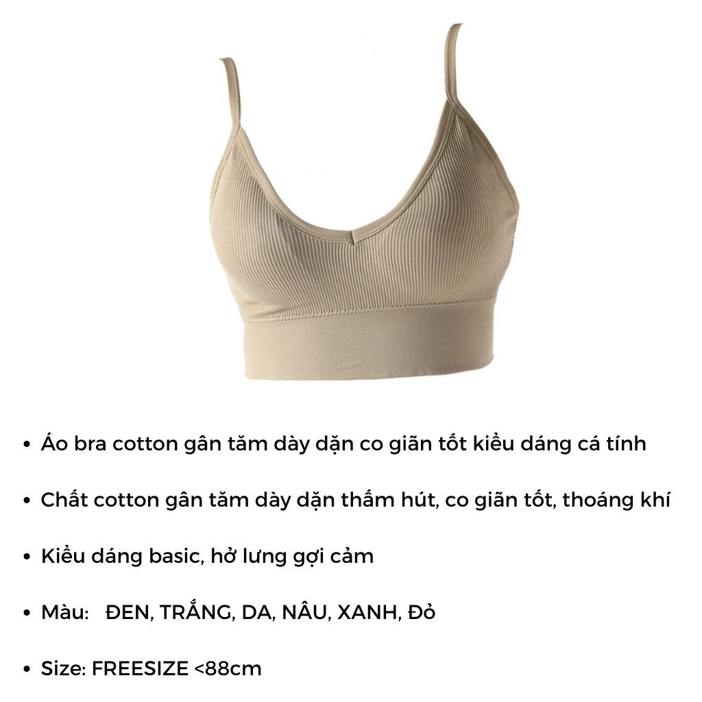SET 3 Áo bra nữ cotton gân tăm cao cấp kiểu dáng hở lưng gợi cảm quyến rũ đệm mút mỏng LANIXA B367