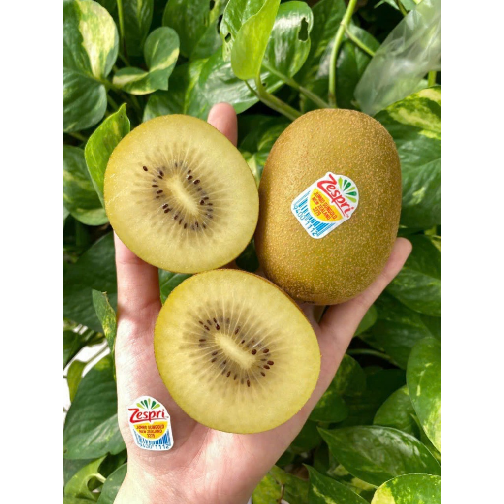[Hoả Tốc] Kiwi vàng Newzealand Zespri, Trái to, đẹp, ngọt, thơm, ngon tuyệt cú mèo 1kg