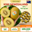 Kiwi vàng Newzealand Zespri, Trái to, đẹp, ngọt, thơm, ngon tuyệt cú mèo 1kg
