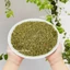 Lá xạ hương 100g, lá thyme, cỏ xạ hương (Nguyên liệu gia vị món Âu, steak, bít tết)