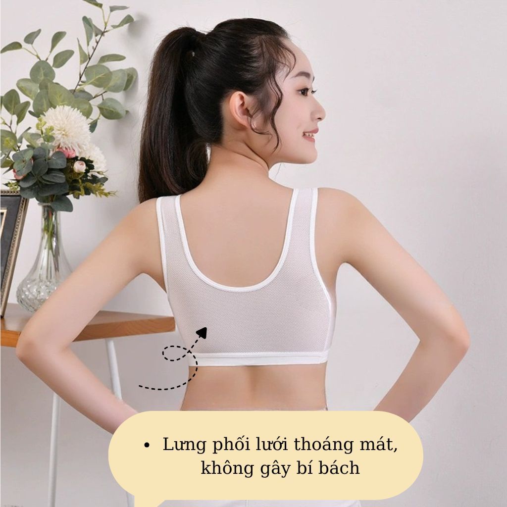 SET 3 Áo lót học sinh cotton cao cấp phối lưới thoáng khí mát mẻ đệm mút vừa ôm ngựa LANIXA A611