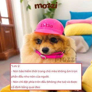 Nón bảo hiểm chó mèo và phụ kiện trang trí kèm theo