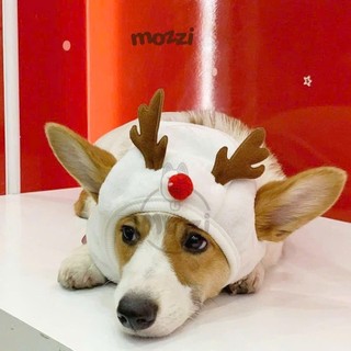 Phụ kiện Nón - Yếm cổ - Tất vớ Noel hình nổi cho chó mèo