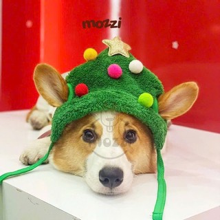 Phụ kiện Nón - Yếm cổ - Tất vớ Noel hình nổi cho chó mèo
