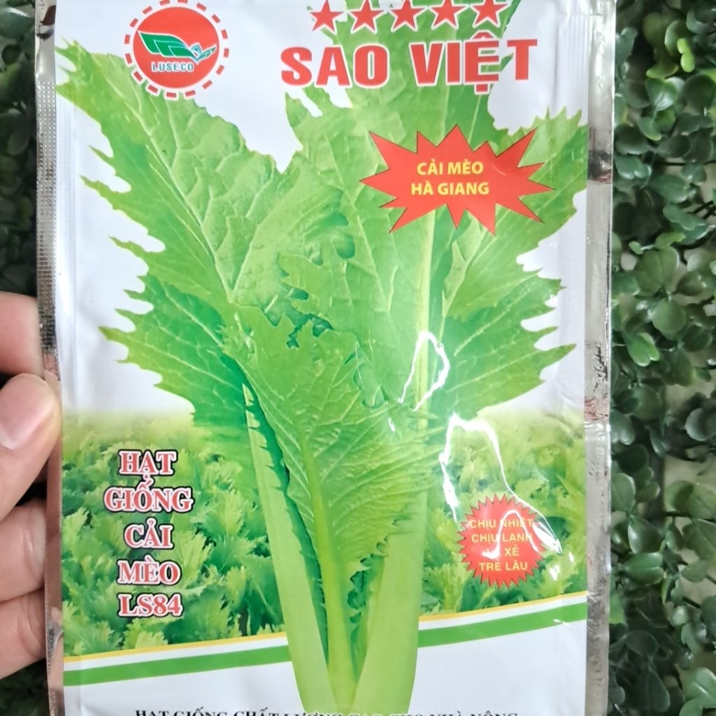 Hạt giống rau cải mèo Hà Giang - Video và ảnh thật shop chụp gói Hạt ...