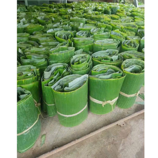 Lá Chuối Tươi gói Dò, gói bánh