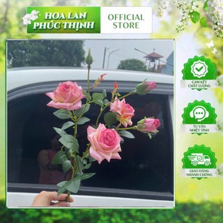 Cành hồng lộc vip - hàng loại 1- trang trí bình hoa, lẵng hoa, phòng khách, cà phê,khách sạn, tổ chức sự kiện...
