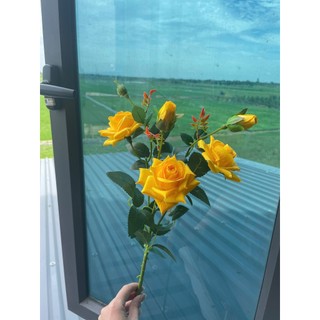 Cành hồng lộc vip - hàng loại 1- trang trí bình hoa, lẵng hoa, phòng khách, cà phê,khách sạn, tổ chức sự kiện...