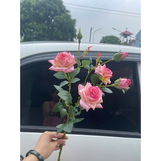 Cành hồng lộc vip - hàng loại 1- trang trí bình hoa, lẵng hoa, phòng khách, cà phê,khách sạn, tổ chức sự kiện...