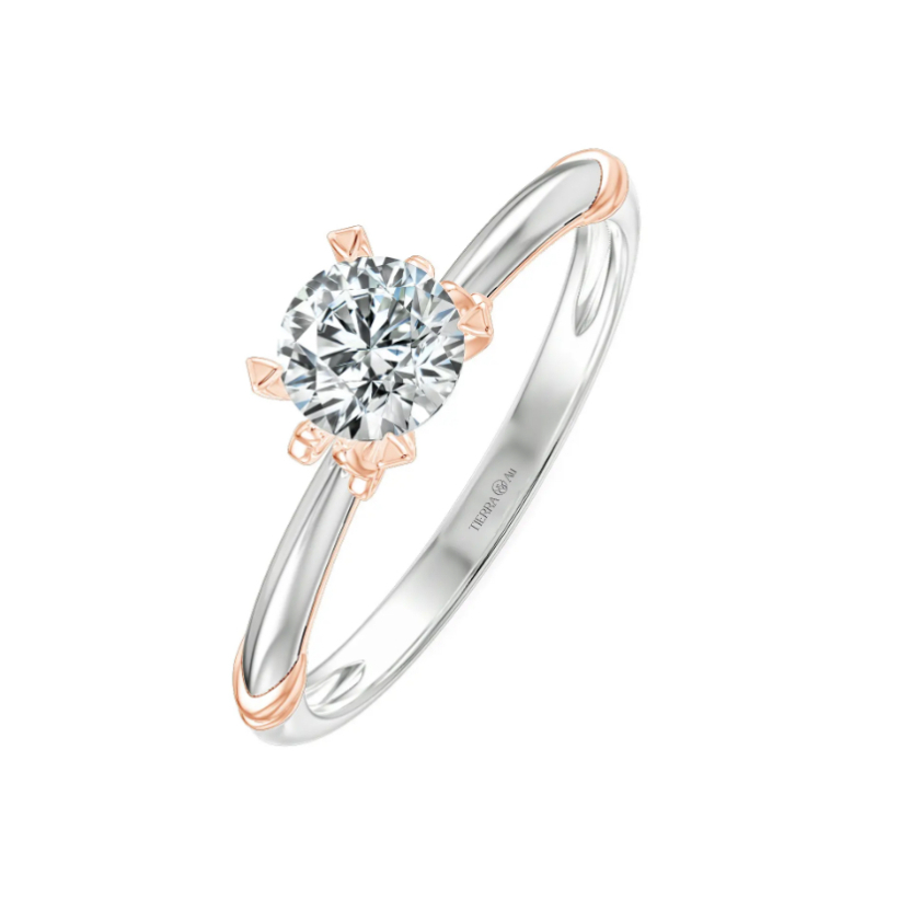 [CHAT TRƯỚC KHI ĐẶT] Nhẫn Cầu Hôn Tierra Svelte Waistline NCH1318 Vàng 14K 18K Cổ Nhẫn Thiết Kế Chiếc Nơ Xinh Xắn