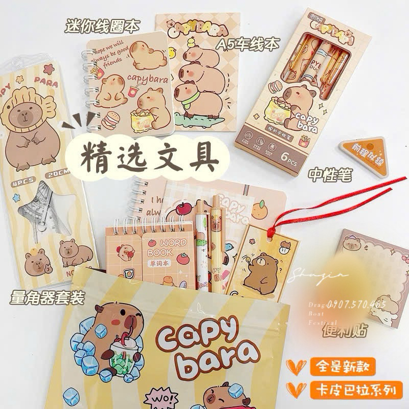 TÚI MÙ QUÀ TẶNG HỌC SINH CAPPYBARA/KUROMI/LABUBU/BABYTHREE