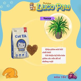 Thức ăn hạt Cat TA (1kg ) cho Mèo trưởng thành, công nghệ Hàn Quốc, Gà Tây Cá Ngừ (Luco Paw Petshop)