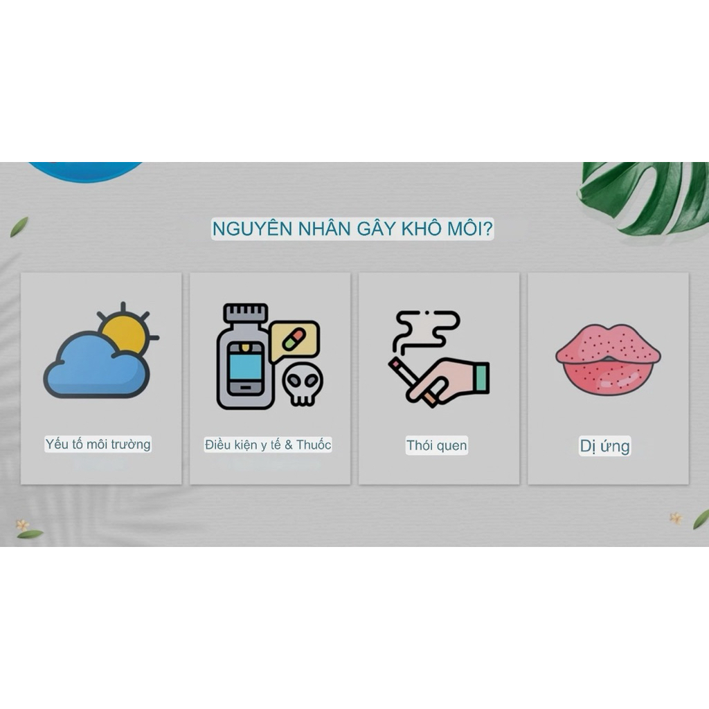 [Bill Úc]Son Dưỡng Môi Dermal Therapy Lip Balm Chính Hãng Úc – 6 Mùi – Dưỡng Ẩm, Giảm Khô Nứt, Làm Mềm Môi